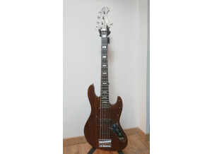 Bacchus DX5BGP (31180)