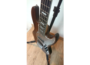 Bacchus DX5BGP (63583)