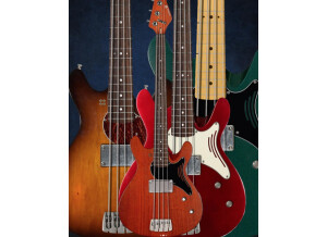 Sandberg (Bass) Florence Bass