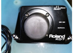 Roland KD-7 (42155)