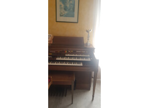 Yamaha Electone D85