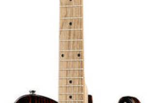 Harley Benton TE-90FLT