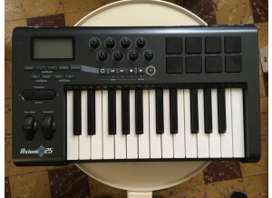 M-Audio Axiom 25 (72019)