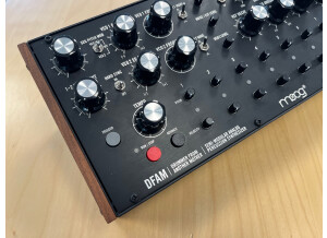 DFAM 2 IMG 4652