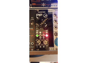 Pip Panel