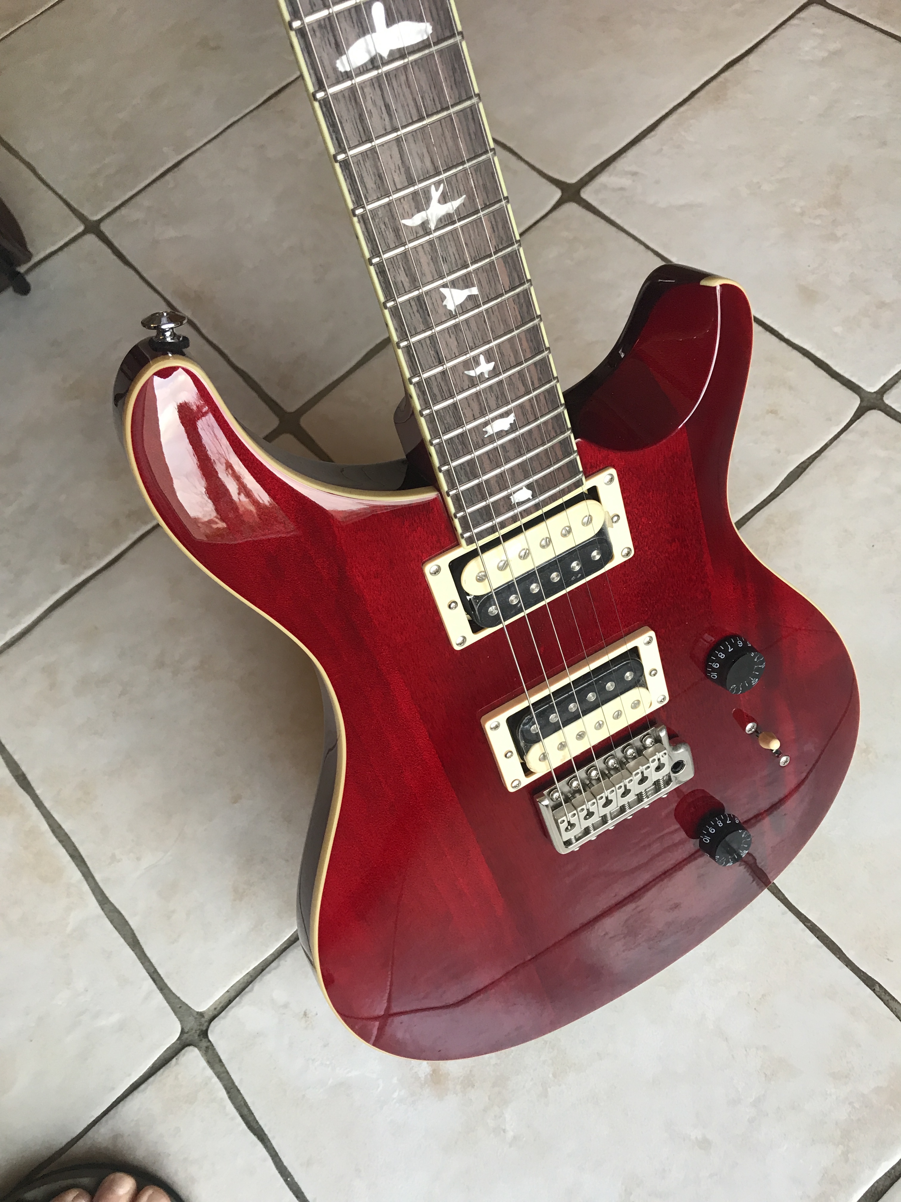 PRS SE Standard 24