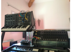 MS-10 (KORG) + SQ-10 (KORG)