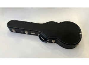 Collings 290 (54119)