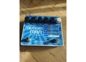 Electro-Harmonix Stereo Memory Man with Hazarai (49032)
