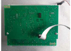 Make Noise DPO (46517)