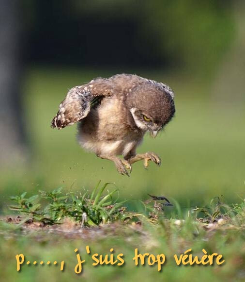 5608000.jpg 5608000.jpg