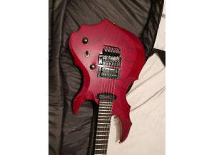 ESP Forest-GT (41165)