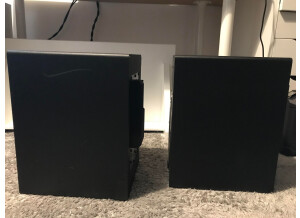 333089160 749843693380531 6839033521392661988 n