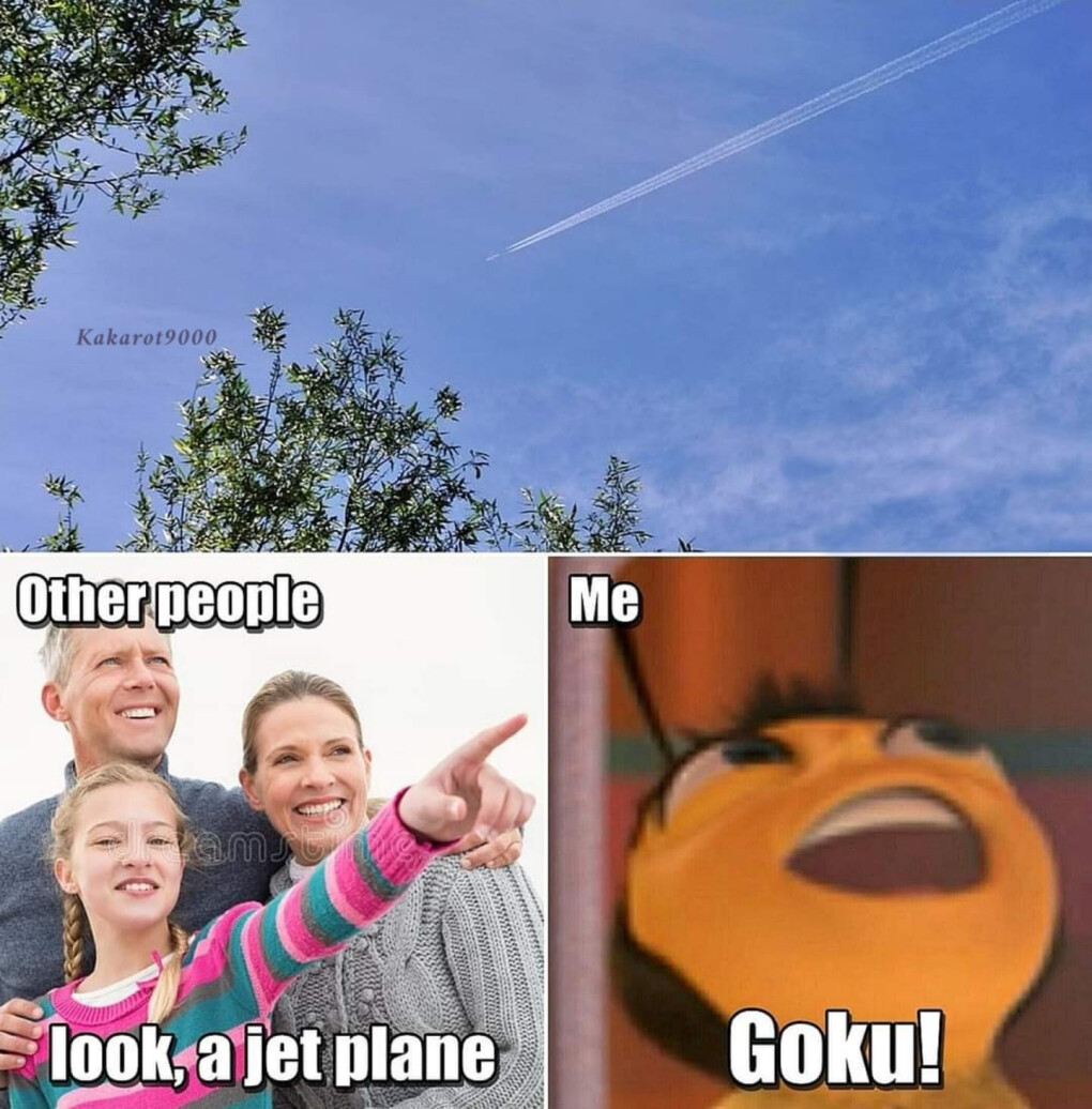 5609551.jpg 5609551.jpg