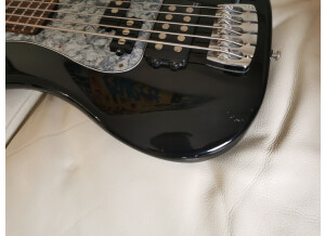 Sandberg (Bass) California PM 5