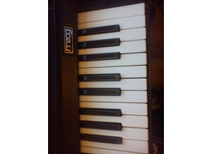 Moog Music MicroMoog (48256)