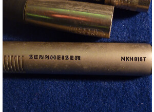 Sennheiser MKH 816 P48 (18728)