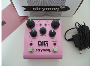 Strymon DIG (37380)