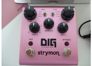 Strymon DIG (4345)