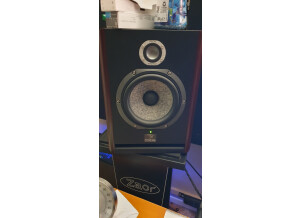 Focal Solo6 Be (13755)