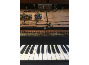 RMI - Synthesizers Electra Piano (49651)