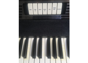 RMI - Synthesizers Electra Piano (194)