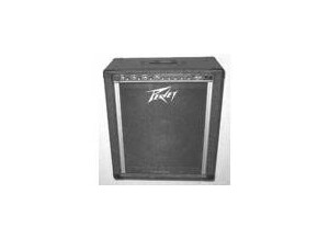 Peavey KB100 (19285)