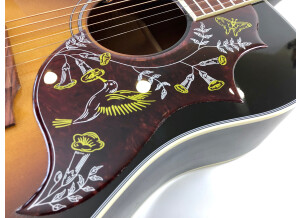 Gibson Hummingbird (29096)