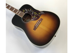 Gibson Hummingbird (48346)