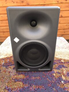 enceinte seule enceinte seule