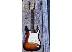 Fender American Professional Stratocaster (49134)