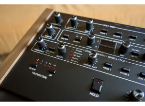 Sequential Prophet-6 (73877)