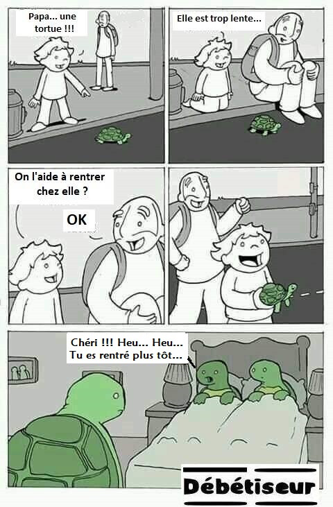 5615426.jpg 5615426.jpg