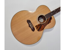 Gibson 1941 SJ-100 (47053)