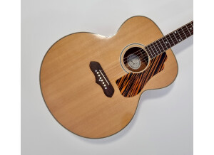 Gibson 1941 SJ-100 (47053)