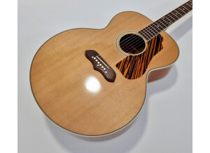 Gibson 1941 SJ-100 (75810)