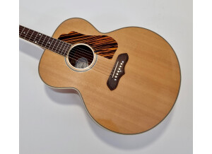 Gibson 1941 SJ-100 (25664)