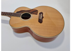 Gibson 1941 SJ-100 (49569)