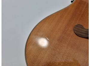 Gibson Songwriter Deluxe Cutaway (64884)
