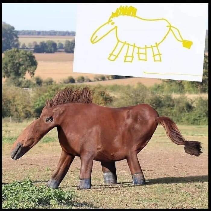 5615995.jpg 5615995.jpg