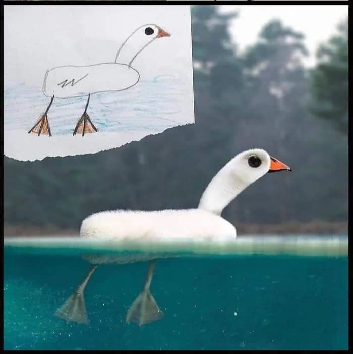 5615996.jpg 5615996.jpg