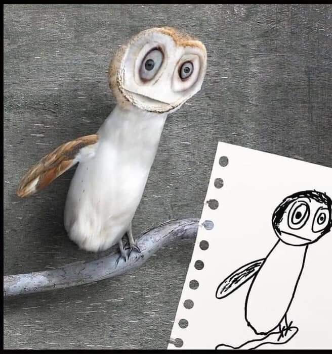 5615997.jpg 5615997.jpg