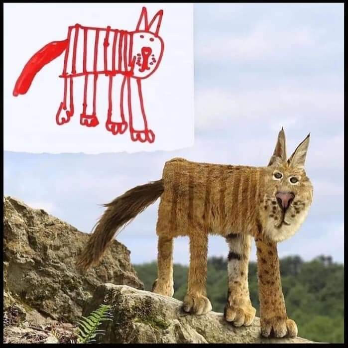 5615998.jpg 5615998.jpg