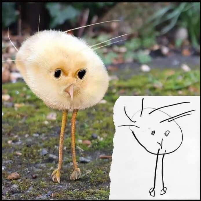 5616000.jpg 5616000.jpg