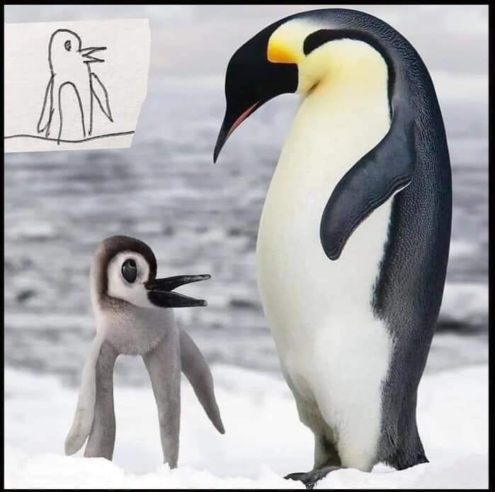 5616001.jpg 5616001.jpg