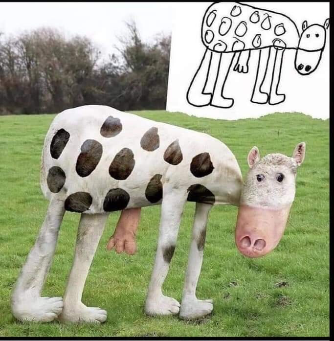 5616002.jpg 5616002.jpg