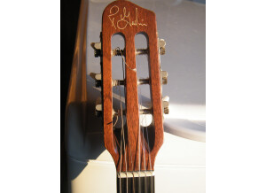 Godin Spectrum Steel SA - Natural