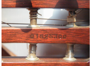 Godin Spectrum Steel SA - Natural