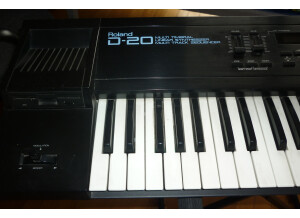 Roland D20-1