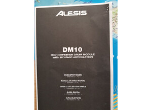 Alesis DM10 Studio Kit Mesh